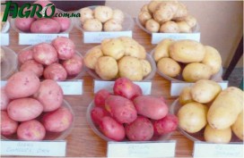 1agro.com.ua