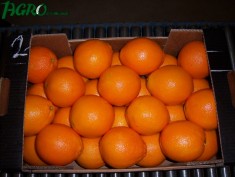 1agro.com.ua