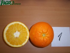 1agro.com.ua