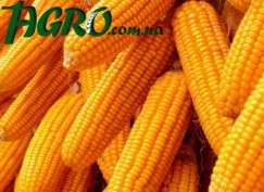 1agro.com.ua