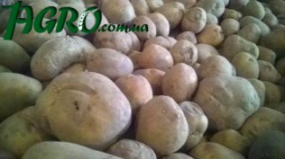 1agro.com.ua