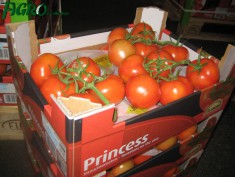 1agro.com.ua