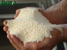1agro.com.ua