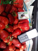 1agro.com.ua