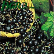1agro.com.ua