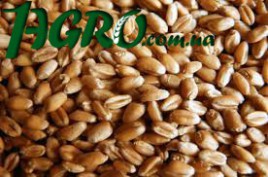 1agro.com.ua
