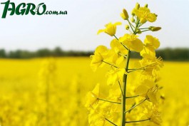 1agro.com.ua