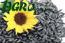 1agro.com.ua