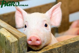 1agro.com.ua