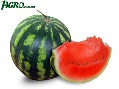 1agro.com.ua