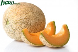 1agro.com.ua