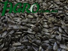 1agro.com.ua