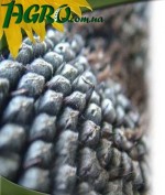 1agro.com.ua
