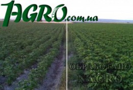 1agro.com.ua