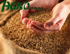 1agro.com.ua