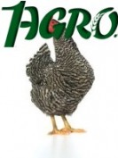 1agro.com.ua