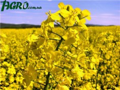 1agro.com.ua