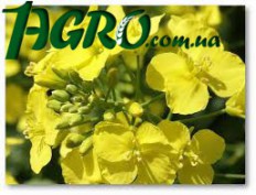 1agro.com.ua