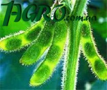 1agro.com.ua