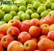 1agro.com.ua