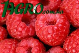 1agro.com.ua
