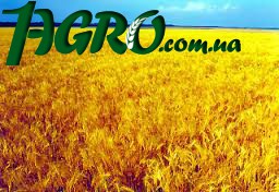 1agro.com.ua