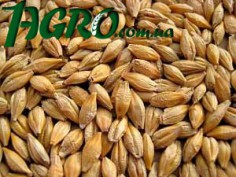 1agro.com.ua