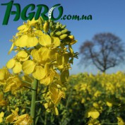 1agro.com.ua
