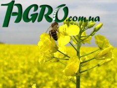 1agro.com.ua