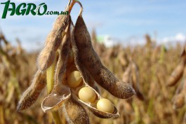 1agro.com.ua