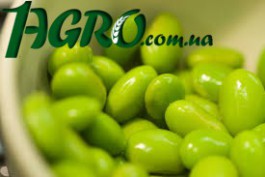 1agro.com.ua