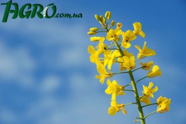1agro.com.ua