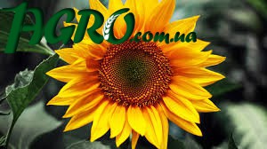 1agro.com.ua