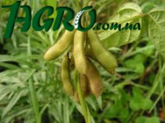 1agro.com.ua