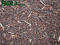 1agro.com.ua