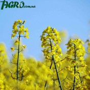 1agro.com.ua