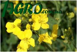1agro.com.ua