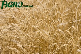 1agro.com.ua