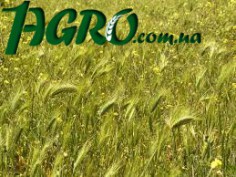 1agro.com.ua
