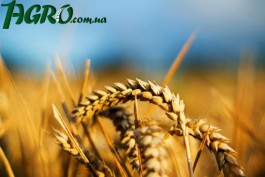 1agro.com.ua