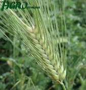 1agro.com.ua