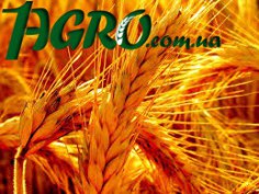 1agro.com.ua