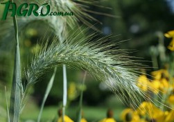 1agro.com.ua