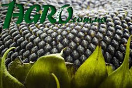 1agro.com.ua