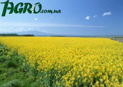 1agro.com.ua