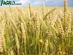 1agro.com.ua