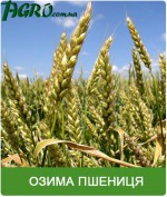 1agro.com.ua