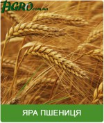 1agro.com.ua