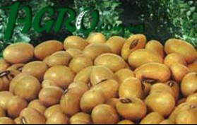 1agro.com.ua