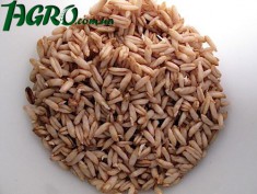 1agro.com.ua